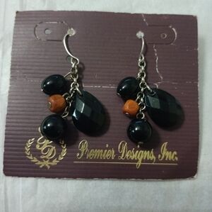 Premier Designs bead and wood earrings